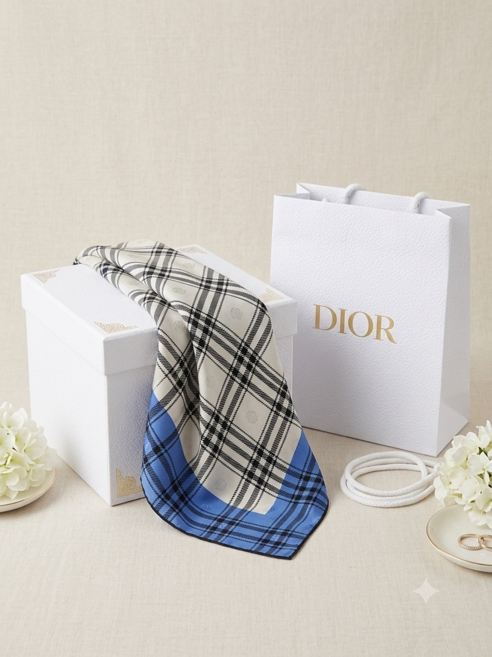 Blue and White Plaid Scarf with Black Grid dior bag included - Picture 1 of 6
